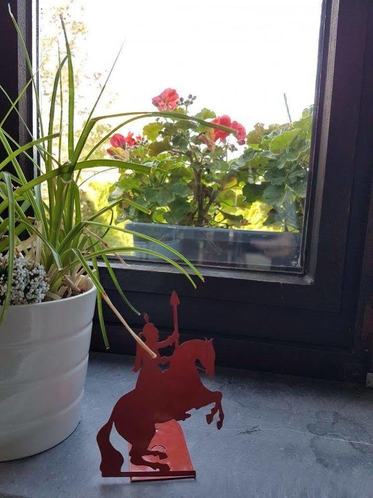 Au Petit Dragon Bed and Breakfast Bergen Buitenkant foto
